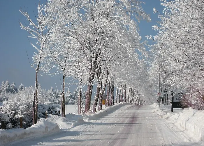 Landschafts-gasthaus Brautigam-hanses Gæstehus Schmallenberg