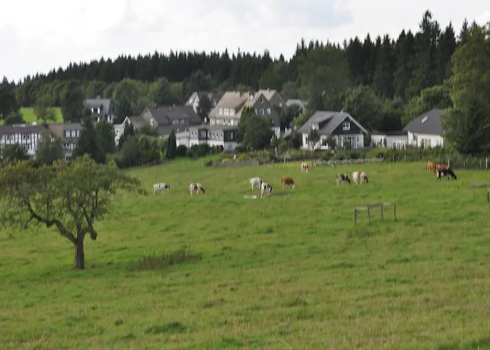 Landschafts-gasthaus Brautigam-hanses 3* Schmallenberg